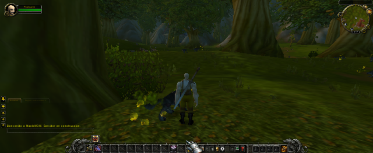 Elwynn Forest in MaeloWOW